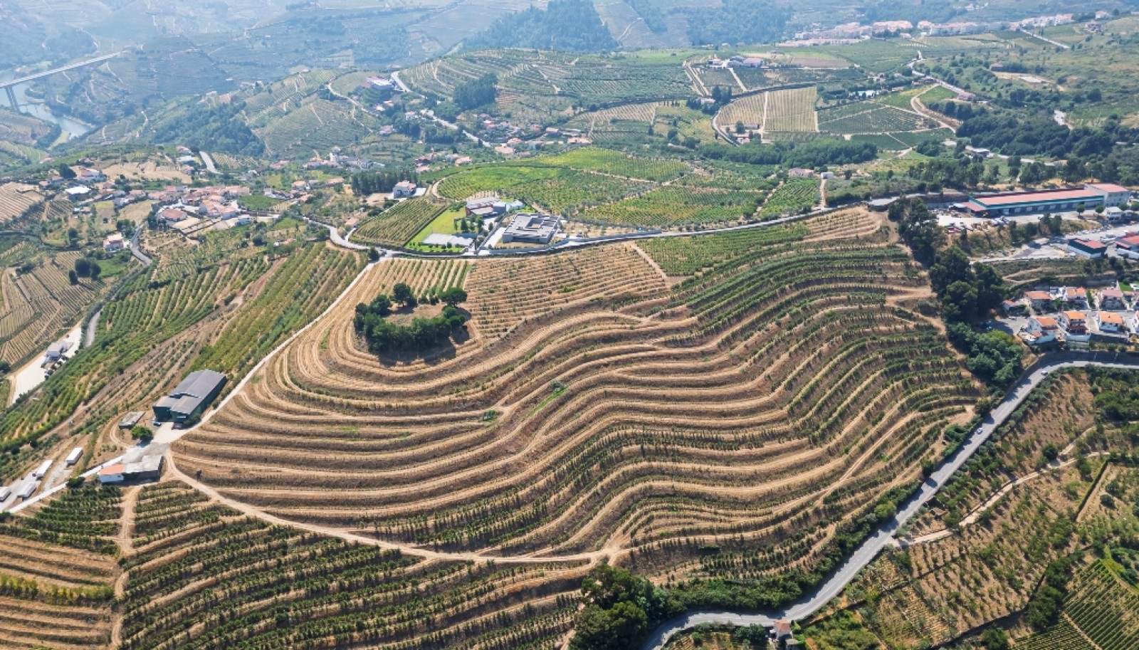 Farm for sale in Lamego in the Douro region, Portugal_393435