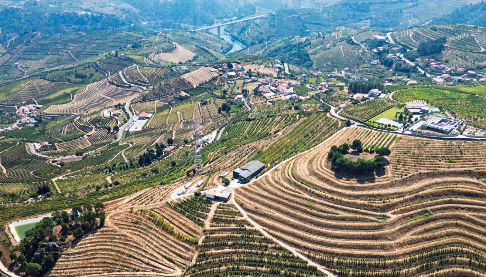 Farm for sale in Lamego in the Douro region, Portugal_393436