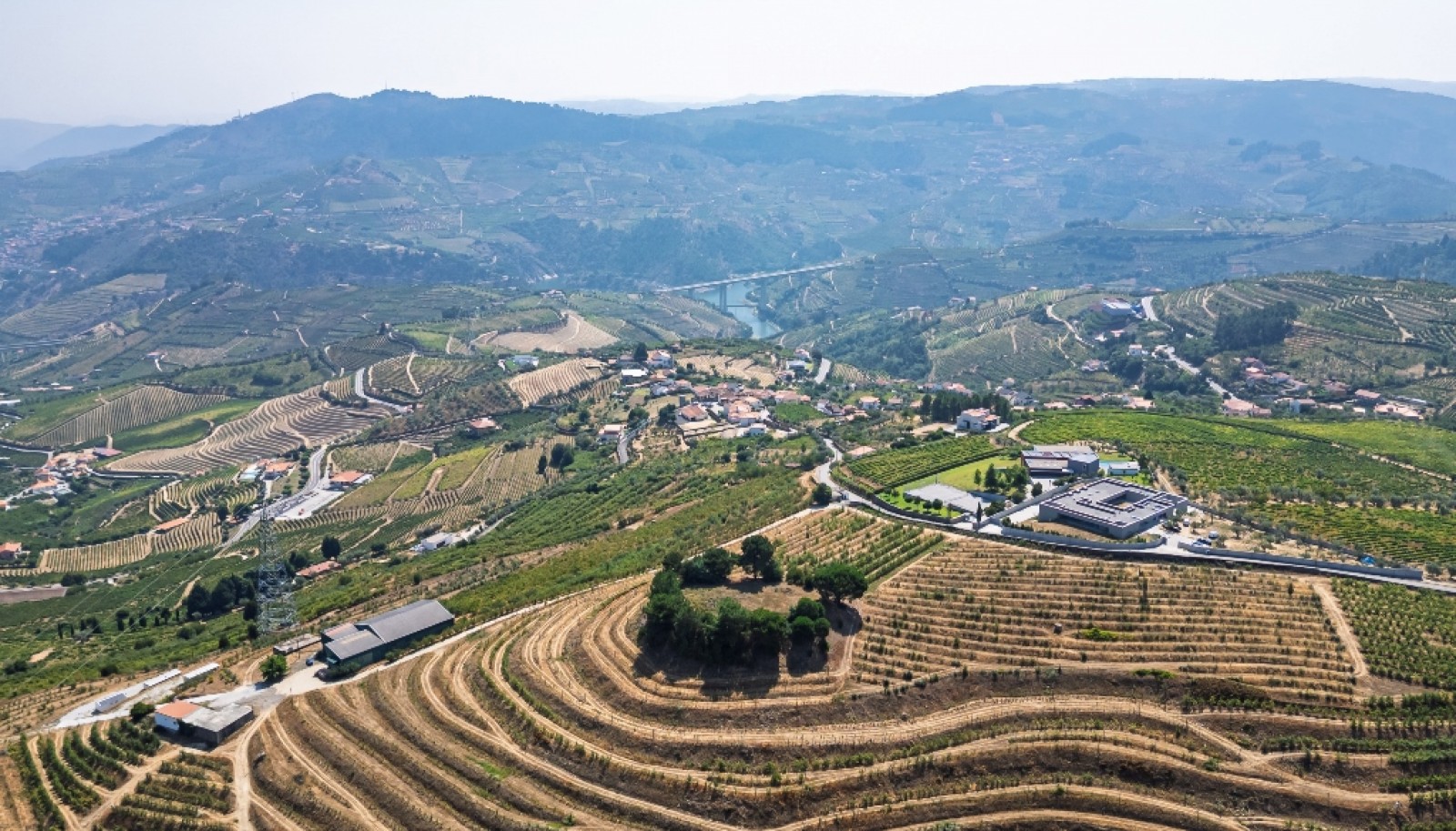 Farm for sale in Lamego in the Douro region, Portugal_393441