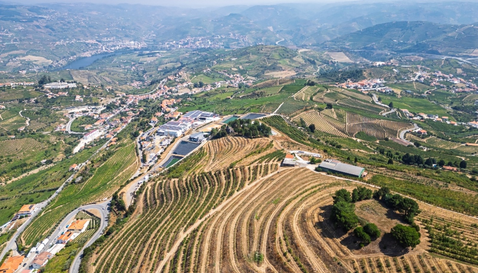 Farm for sale in Lamego in the Douro region, Portugal_393442