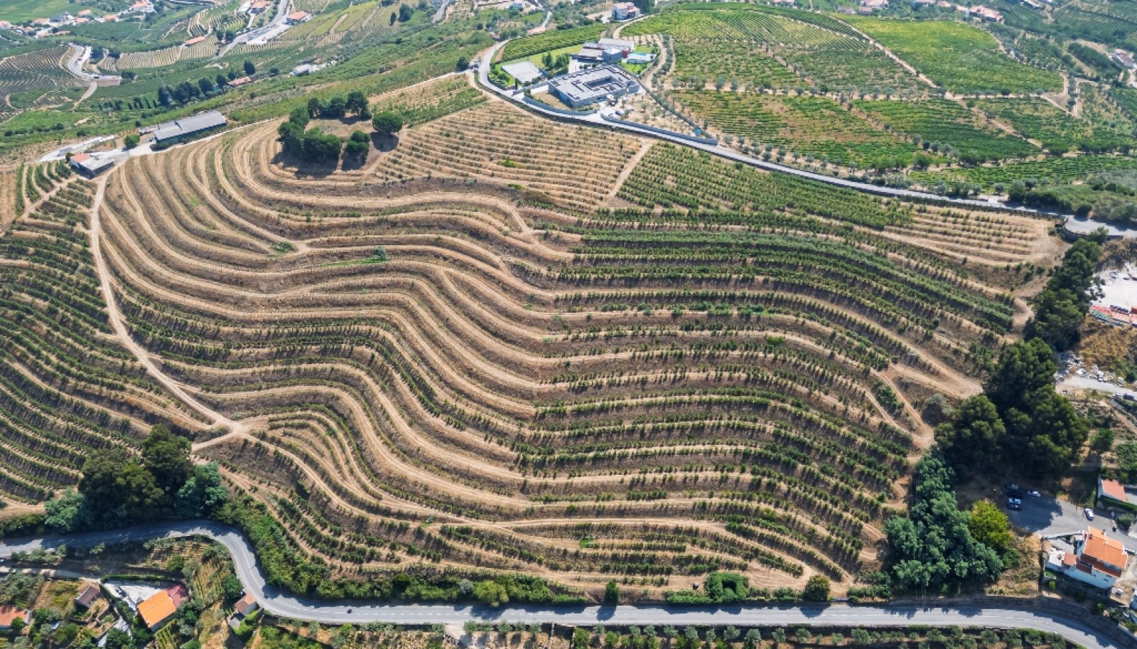 Farm for sale in Lamego in the Douro region, Portugal_393444