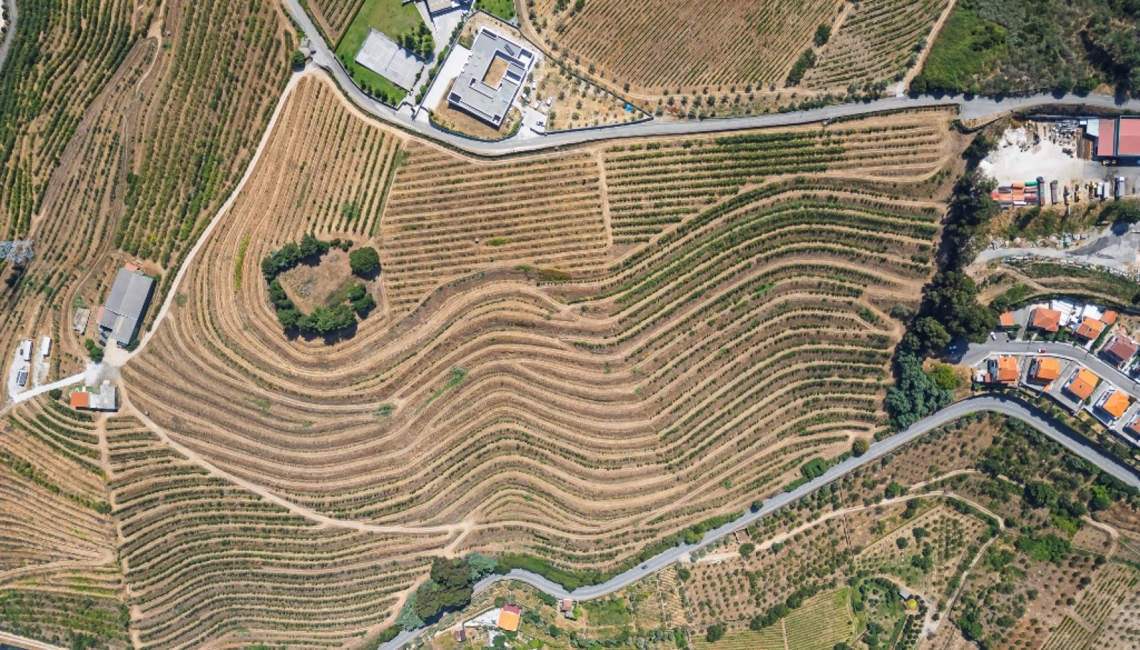 Farm for sale in Lamego in the Douro region, Portugal_393448