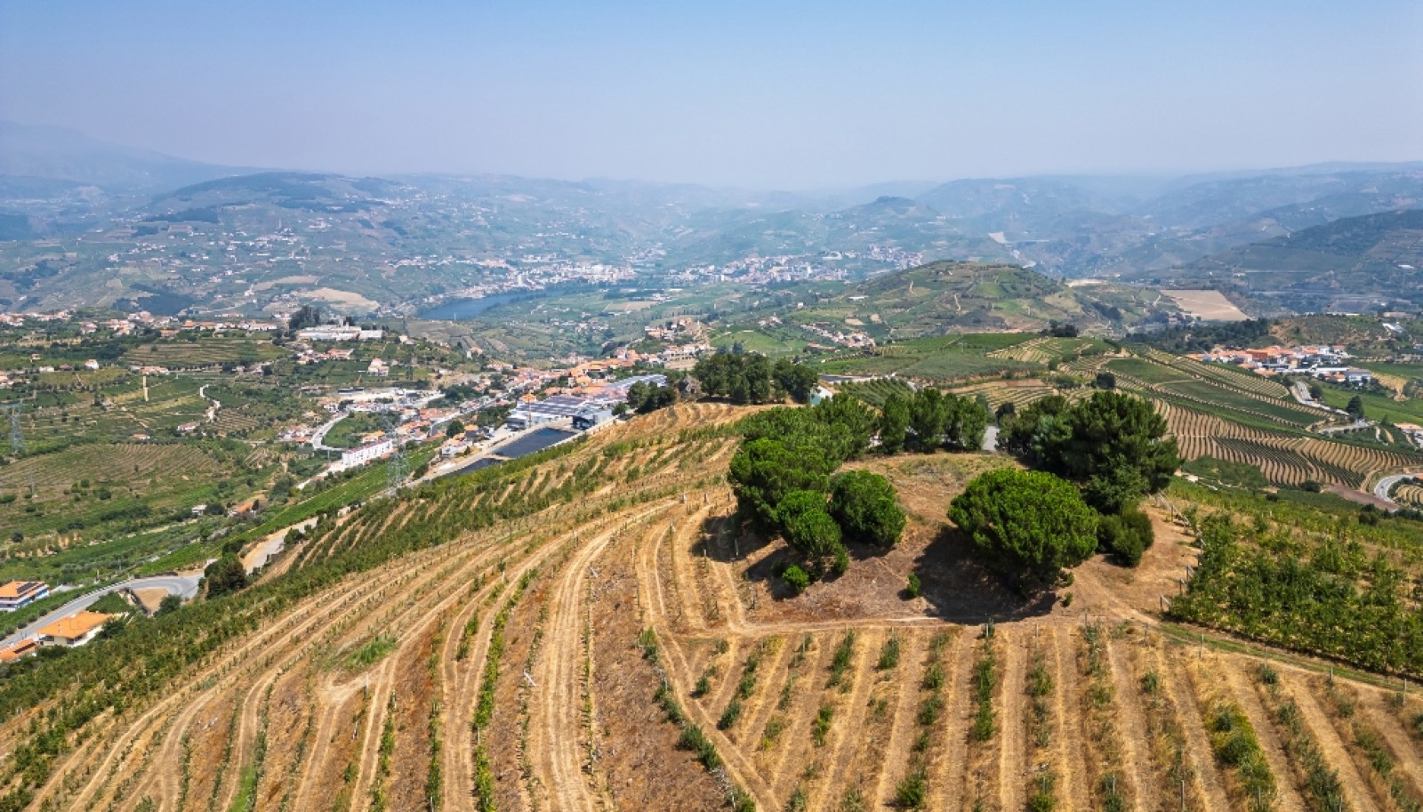 Farm for sale in Lamego in the Douro region, Portugal_393449