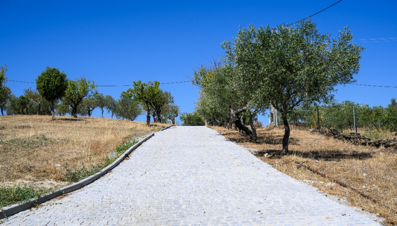 Finca situada en el casco histórico de Foz Côa, en el valle del Duero, Portugal_393465
