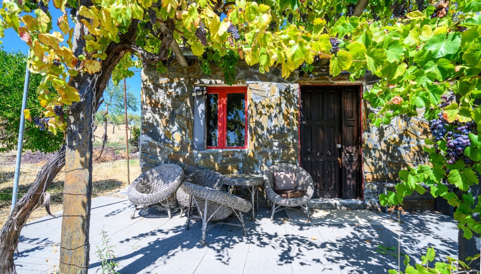Finca situada en el casco histórico de Foz Côa, en el valle del Duero, Portugal_393475