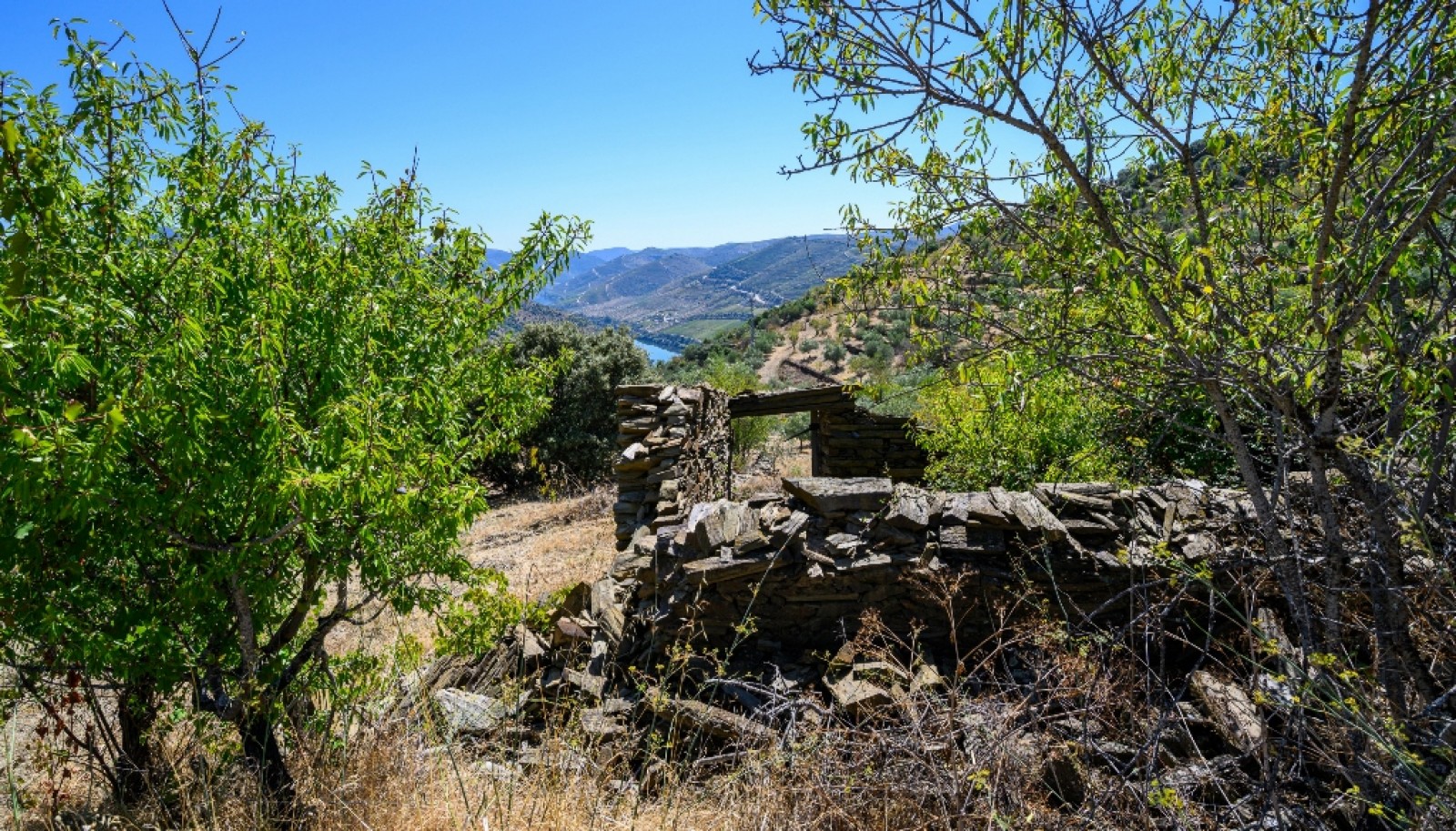Finca situada en el casco histórico de Foz Côa, en el valle del Duero, Portugal_393479