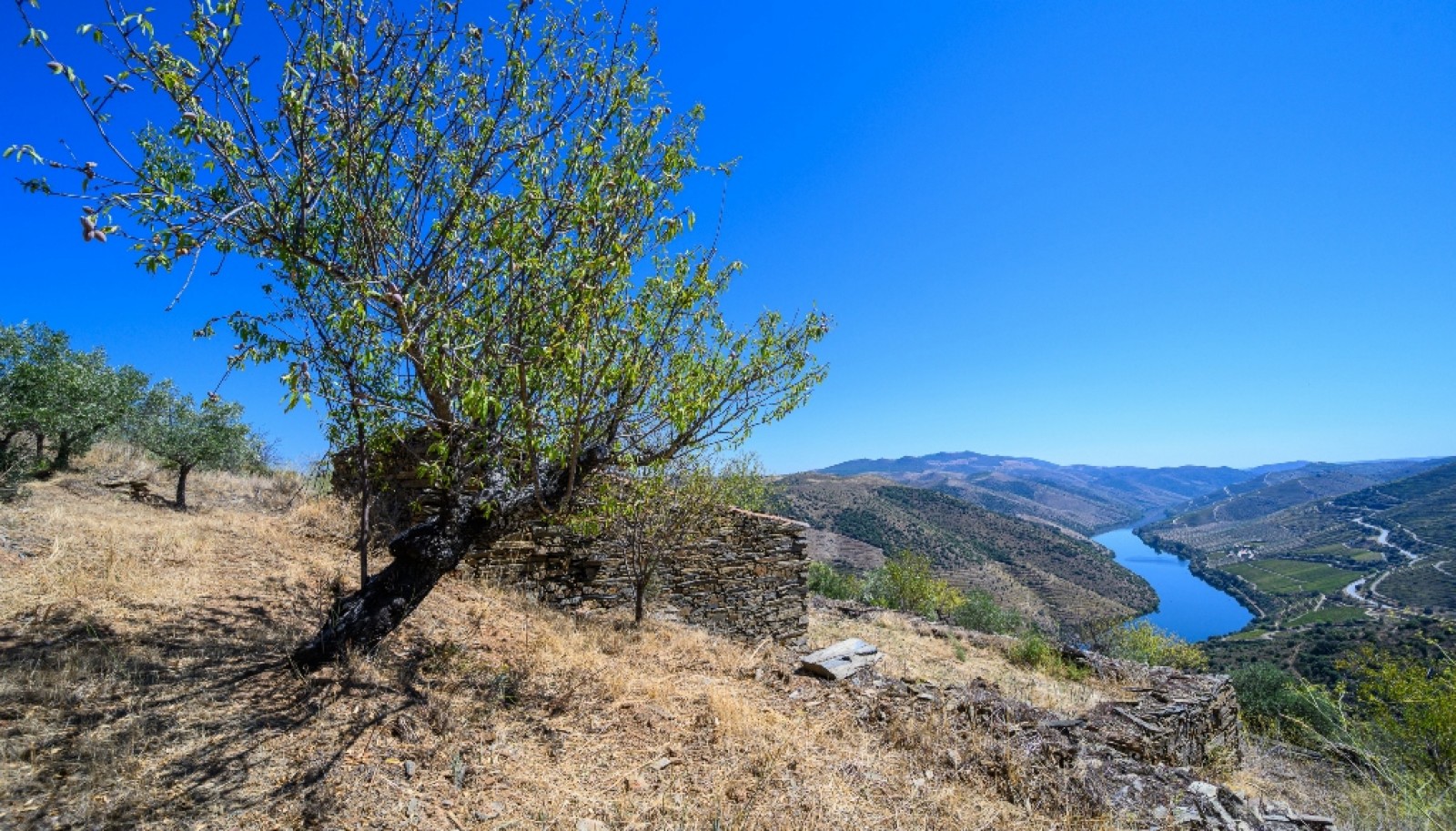 Finca situada en el casco histórico de Foz Côa, en el valle del Duero, Portugal_393490