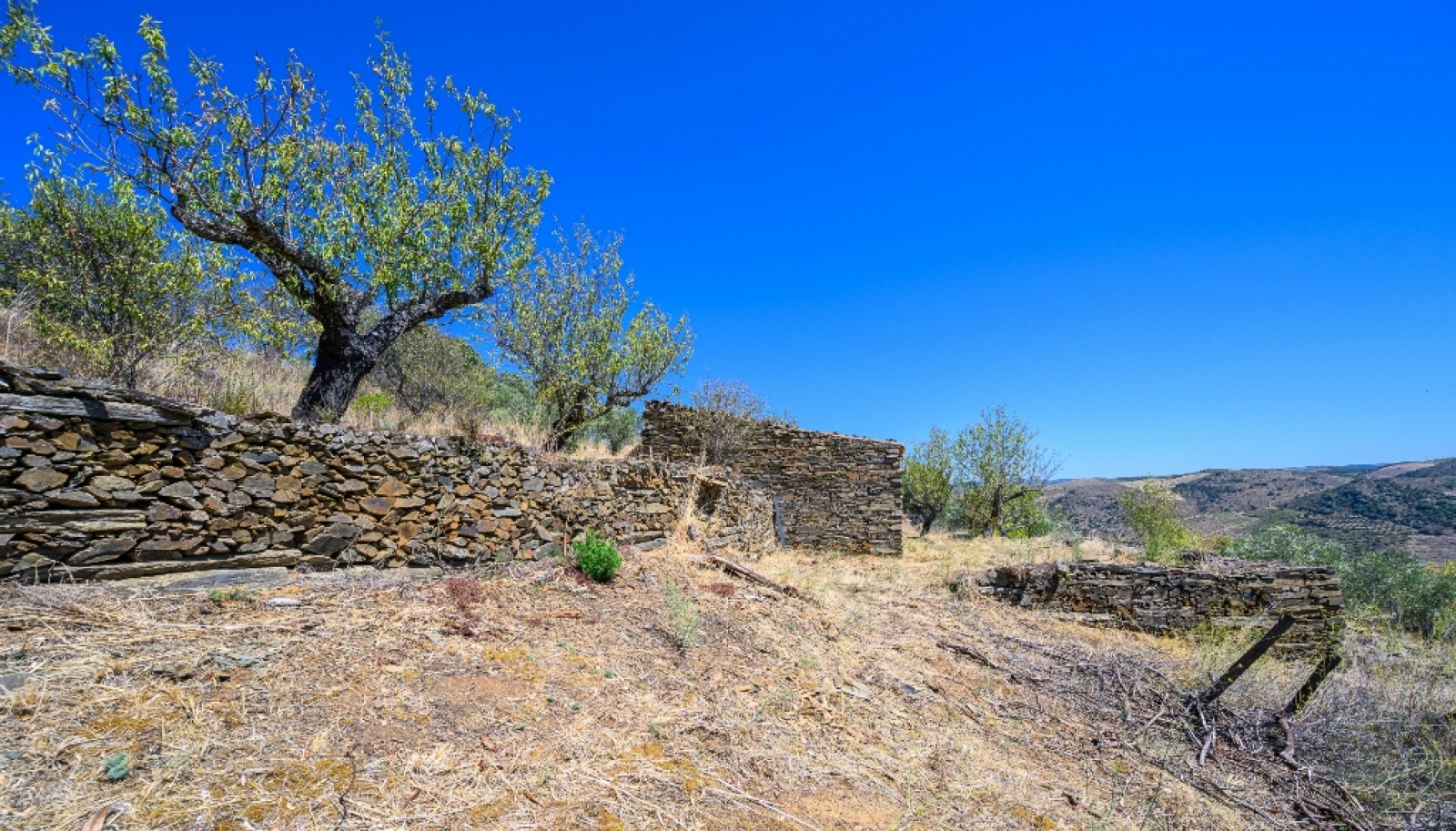 Finca situada en el casco histórico de Foz Côa, en el valle del Duero, Portugal_393492