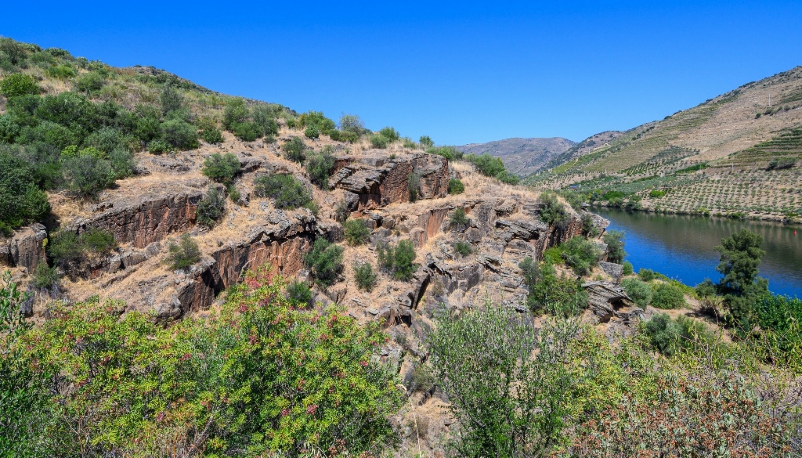 Finca situada en el casco histórico de Foz Côa, en el valle del Duero, Portugal_393494