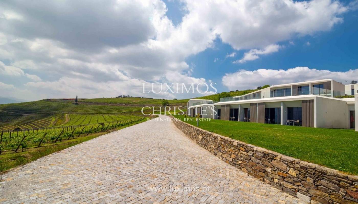 5-star Vineyard, in the Douro Valley, North of Portugal_2342