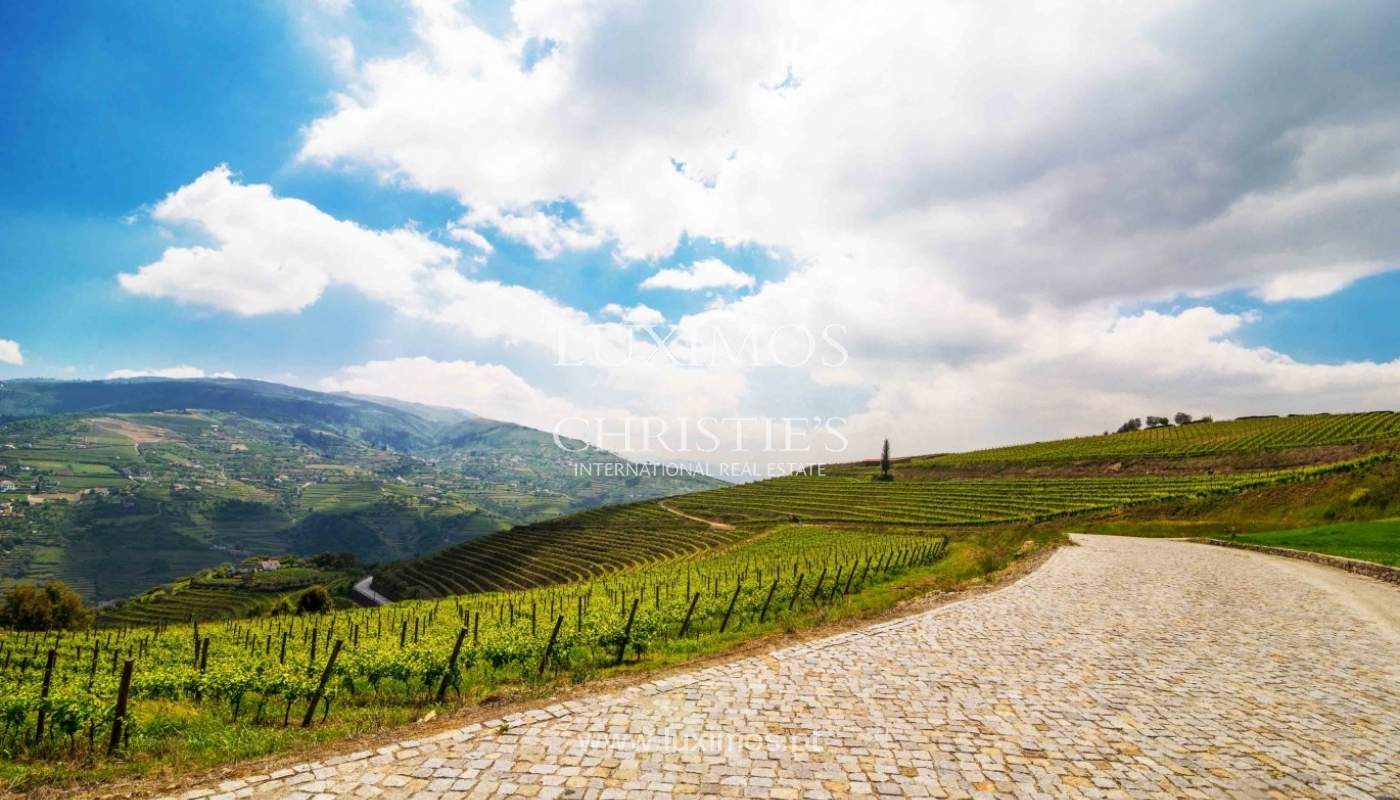 5-star Vineyard, in the Douro Valley, North of Portugal_2343