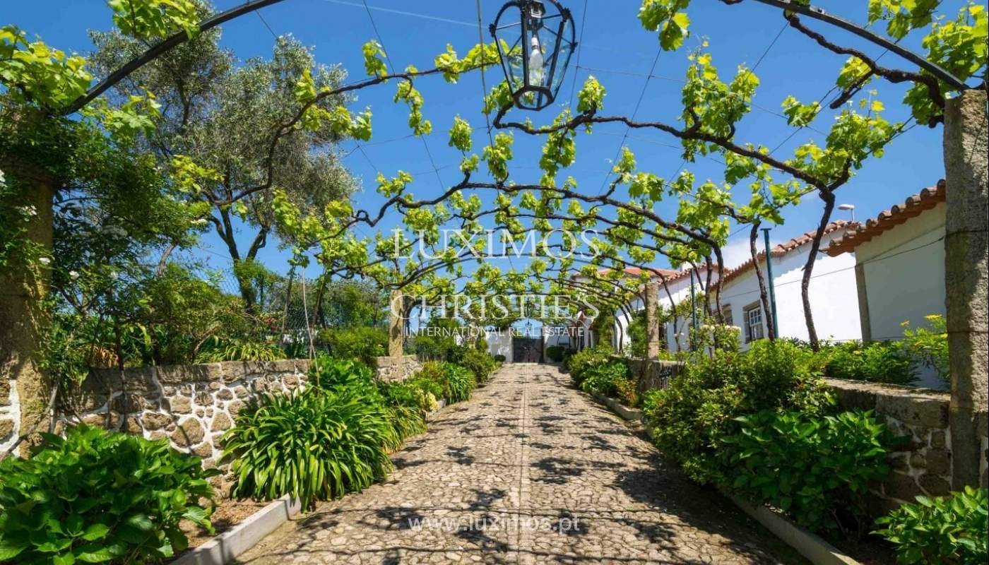 Vineyard with swimming pool, Maia, Porto, Portugal a luxury home for