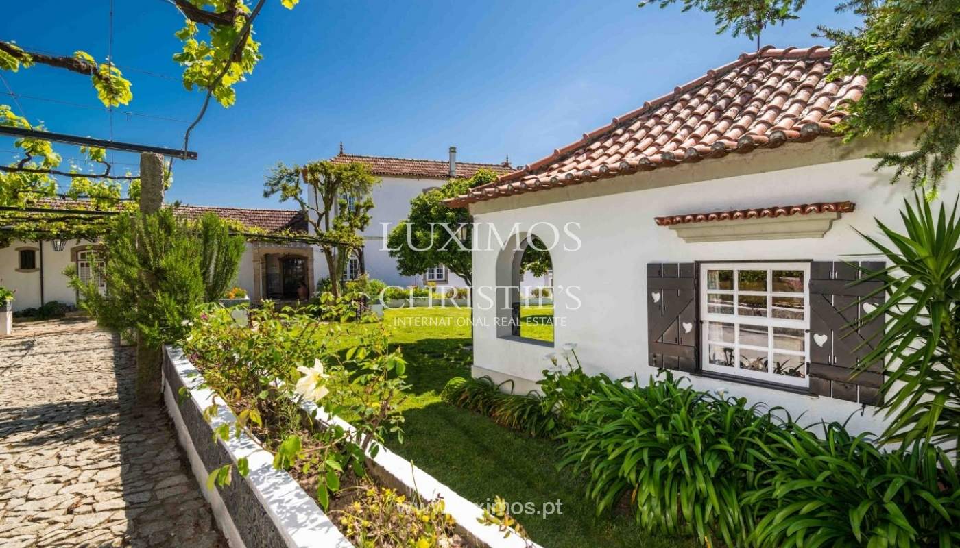 Vineyard with swimming pool, Maia, Porto, Portugal a luxury home for