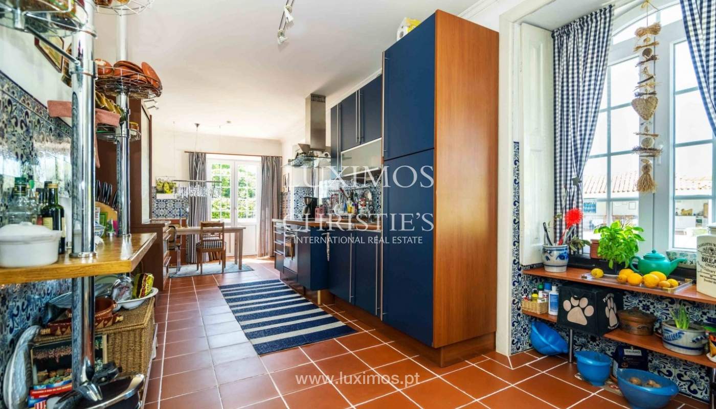 Vineyard with swimming pool, Maia, Porto, Portugal a luxury home for