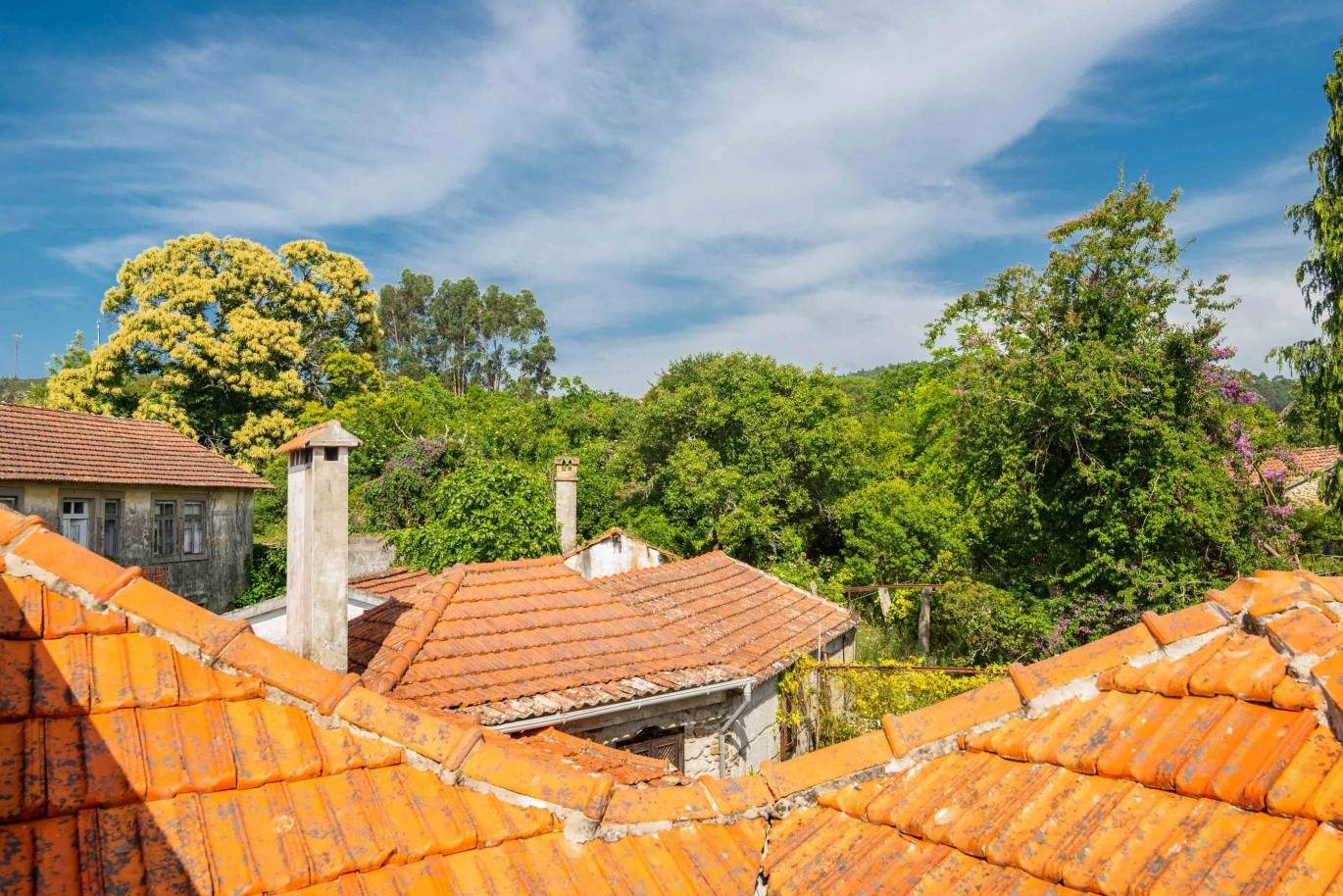 Maison de campagne avec vue sur la rivière, Caminha, Portugal_44660