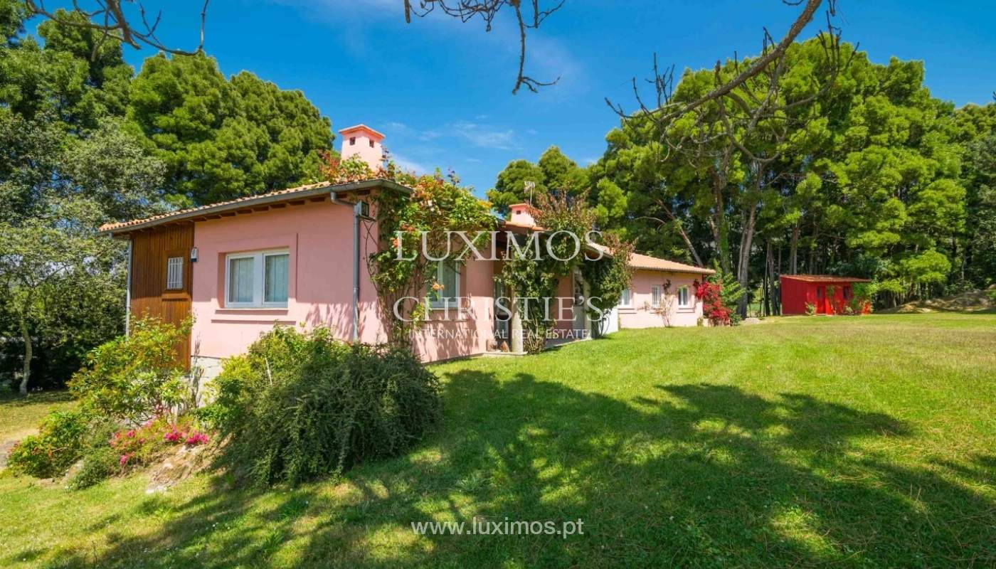 Moradia com vistas mar, jardim e piscina, Moledo_44858