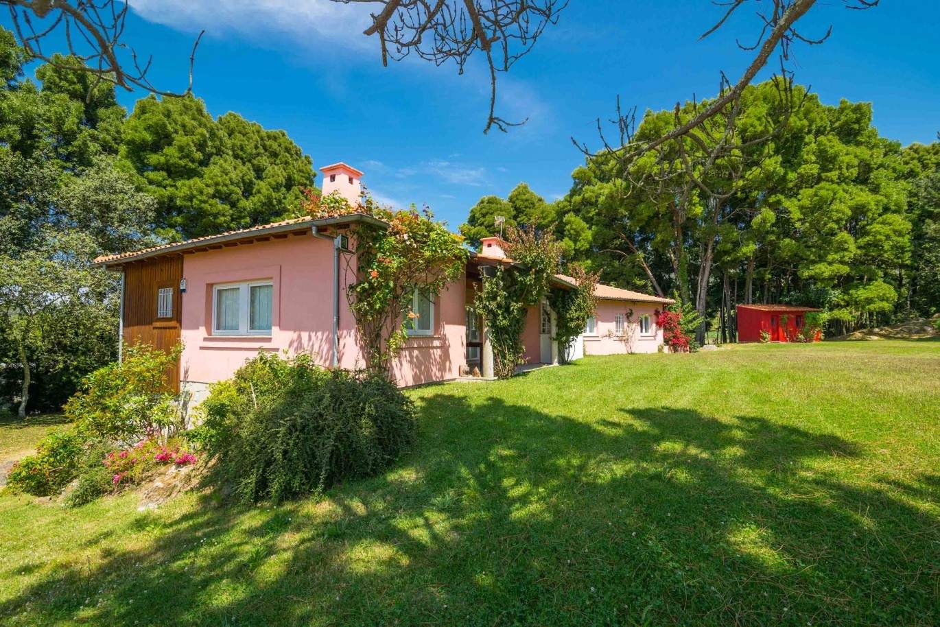 Villa with ocean views, garden and swimming pool, Moledo, Portugal_44858
