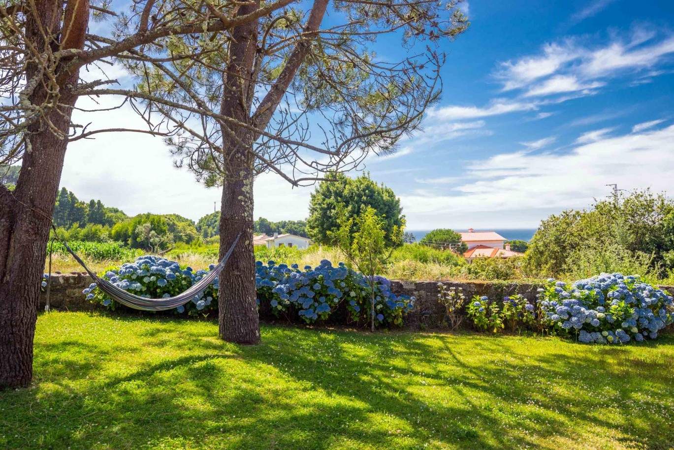 Villa with ocean views, garden and swimming pool, Moledo, Portugal_44888