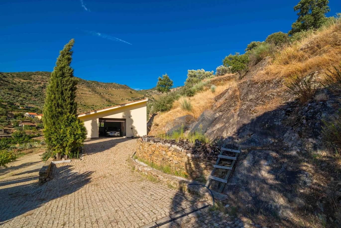 Farm with views to Douro river, Douro Demarcated Region, Portugal_47692