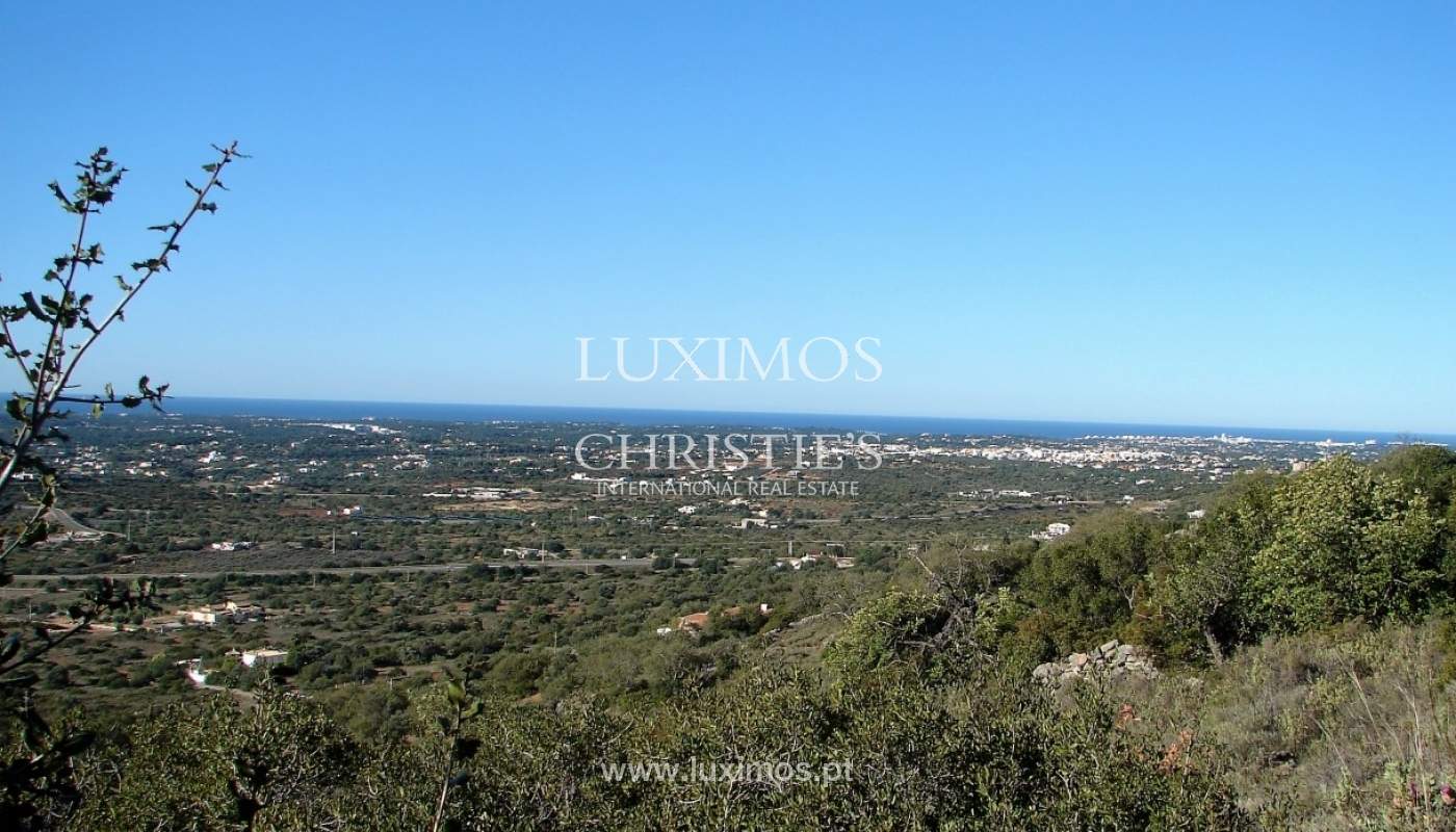 Venda de terreno com vista de mar e campo, Pé do Cerro, Algarve_51056