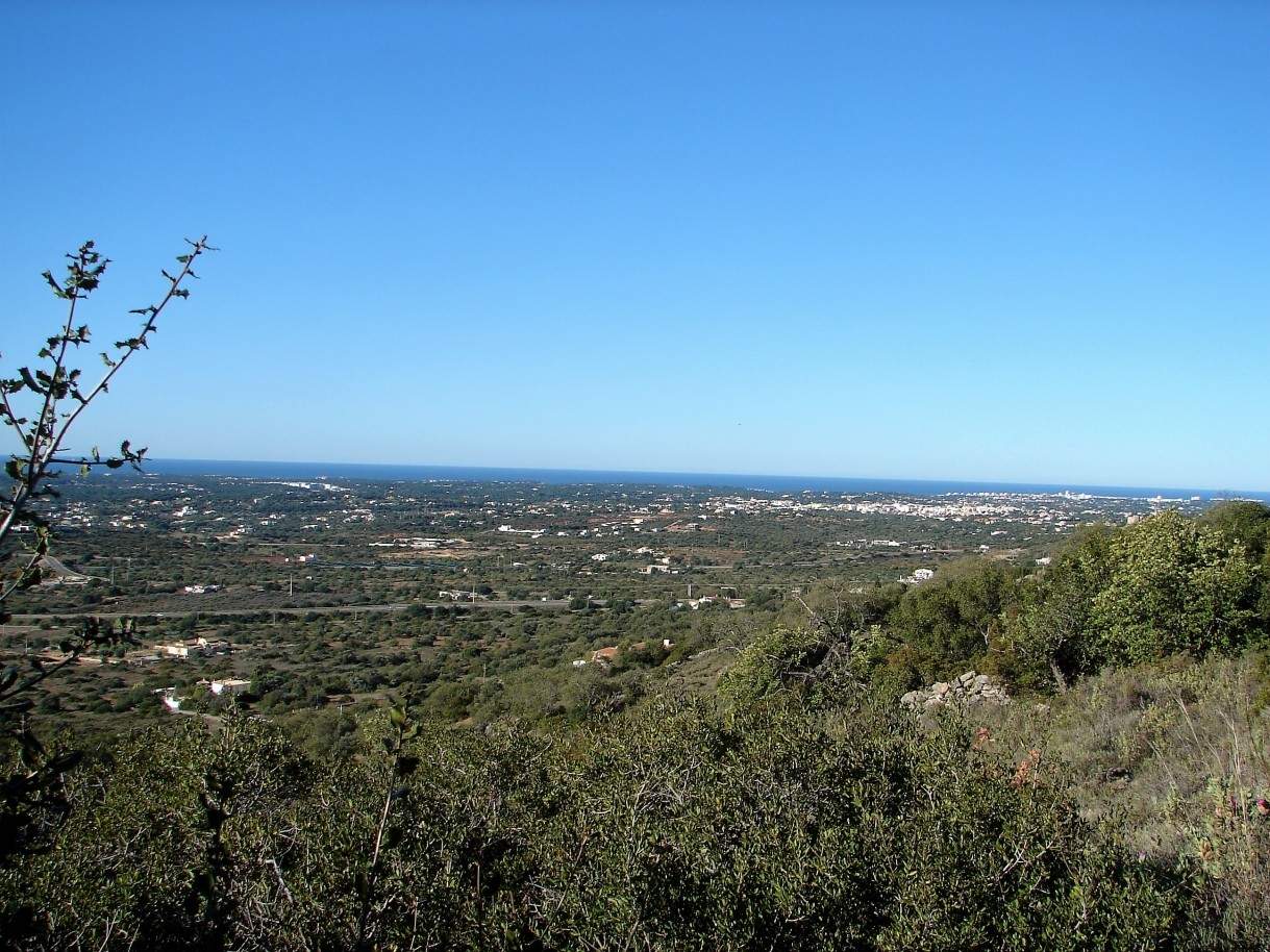 Venda de terreno com vista de mar e campo, Pé do Cerro, Algarve_51056