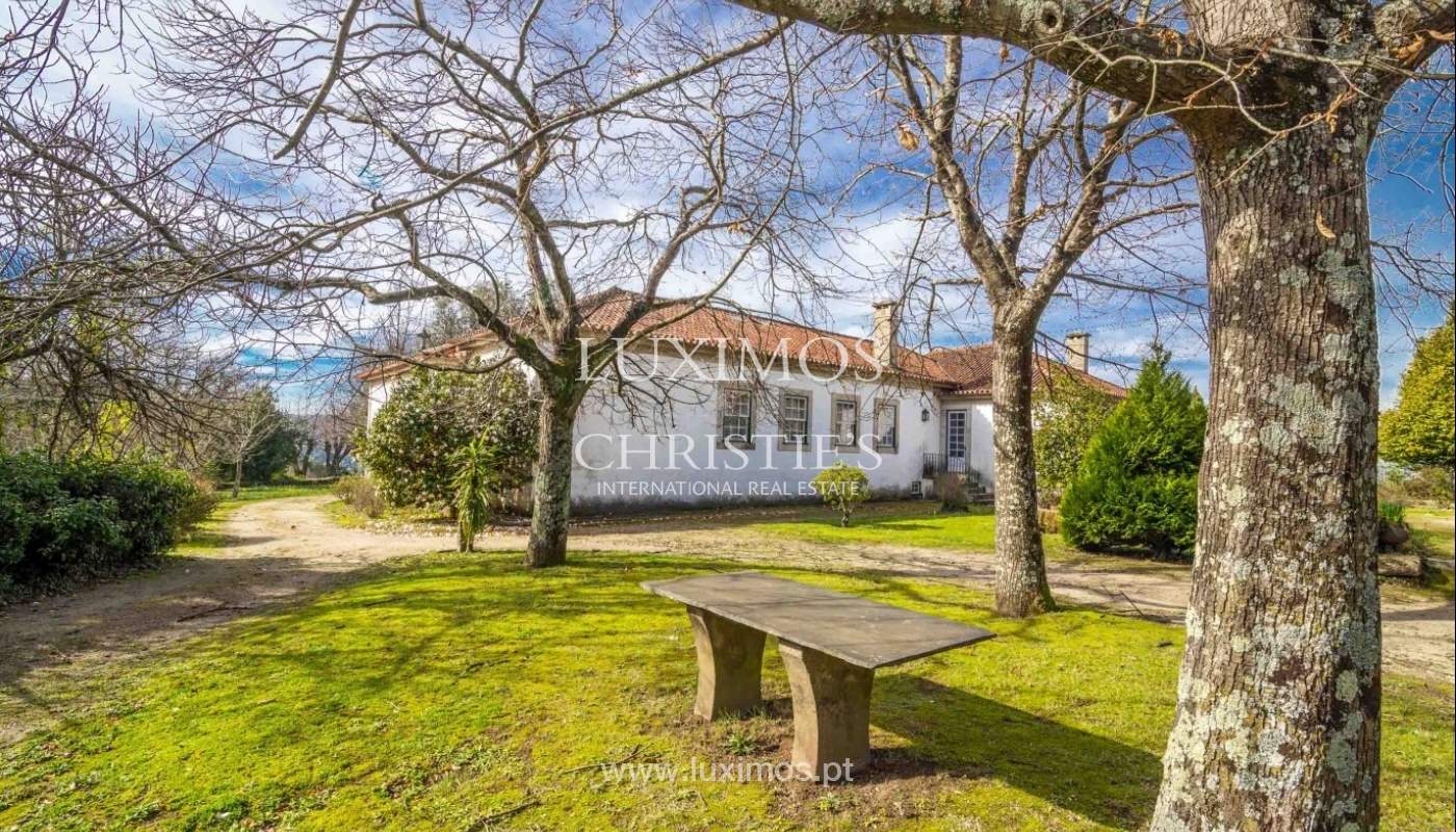 Quinta com jardim, árvores de fruto e bosque, Santo Tirso Portugal_52429