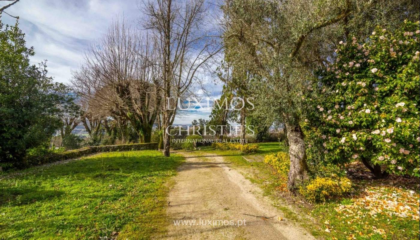 Quinta com jardim, árvores de fruto e bosque, Santo Tirso Portugal_52432