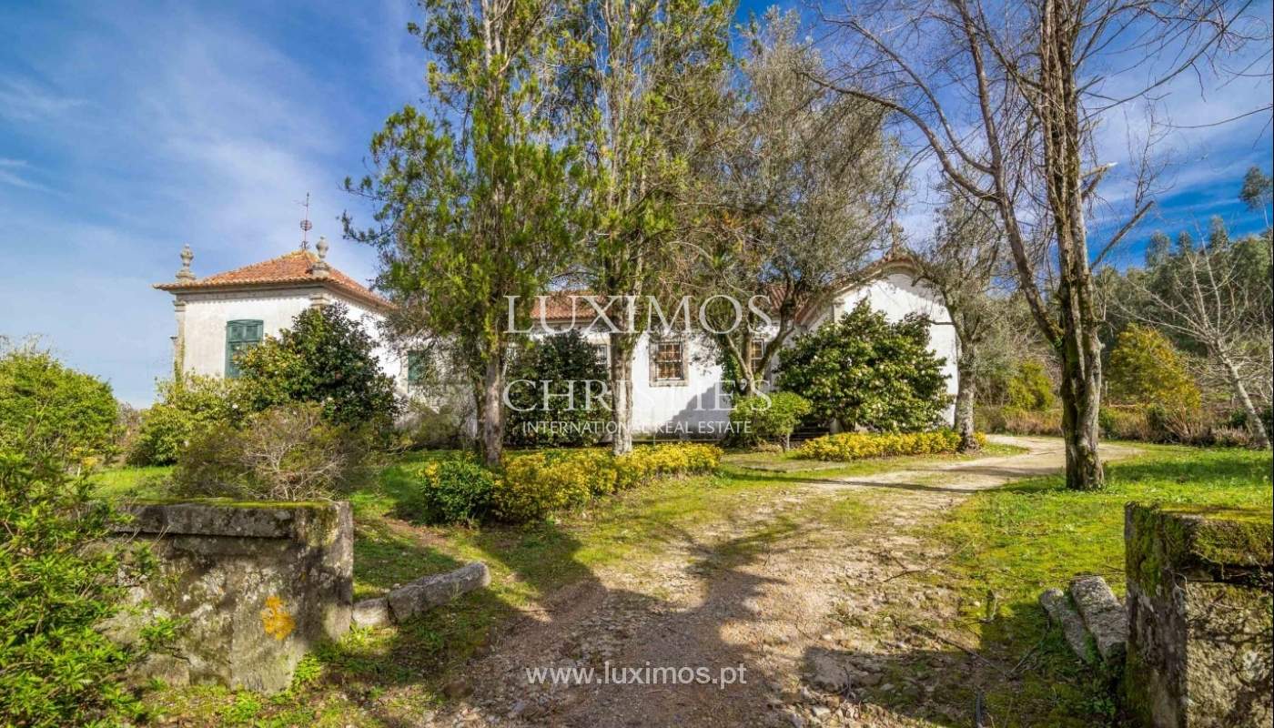 Quinta com jardim, árvores de fruto e bosque, Santo Tirso Portugal_52435
