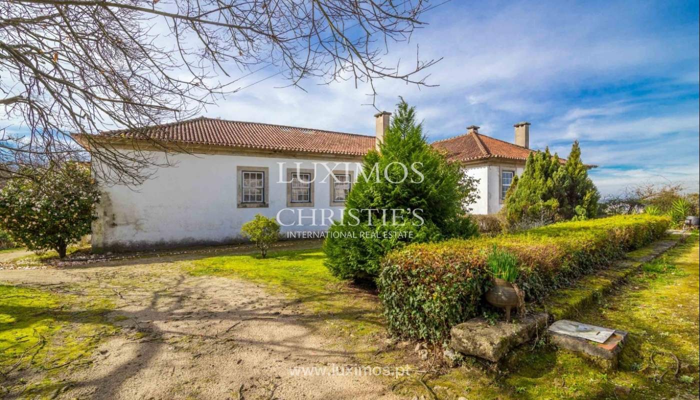 Quinta com jardim, árvores de fruto e bosque, Santo Tirso Portugal_52437