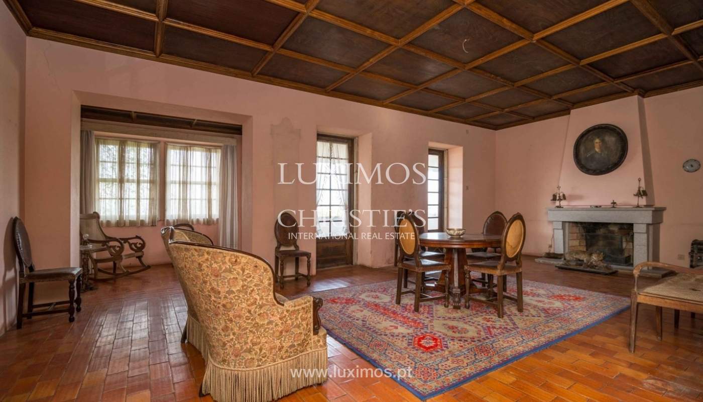 Quinta com jardim, árvores de fruto e bosque, Santo Tirso Portugal_52441