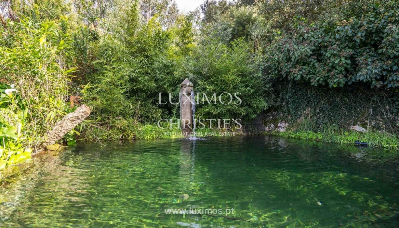 Quinta com jardim, árvores de fruto e bosque, Santo Tirso Portugal_52461