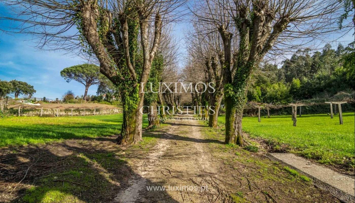 Quinta com jardim, árvores de fruto e bosque, Santo Tirso Portugal_52463