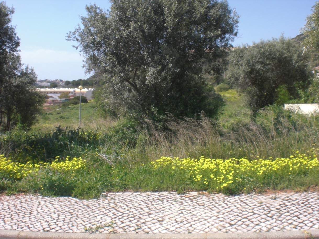 Grundstück zum Verkauf, Blick auf die Marina von Albufeira, Orada, Algarve, Portugal_54929