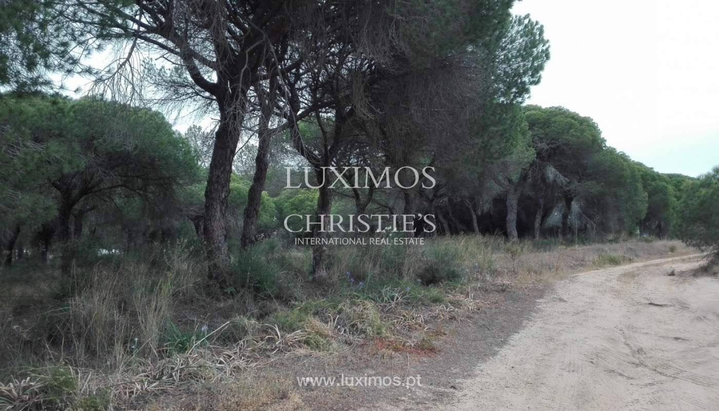 Terreno para venda perto da praia, Vale de Garrão, Algarve, Portugal_57253