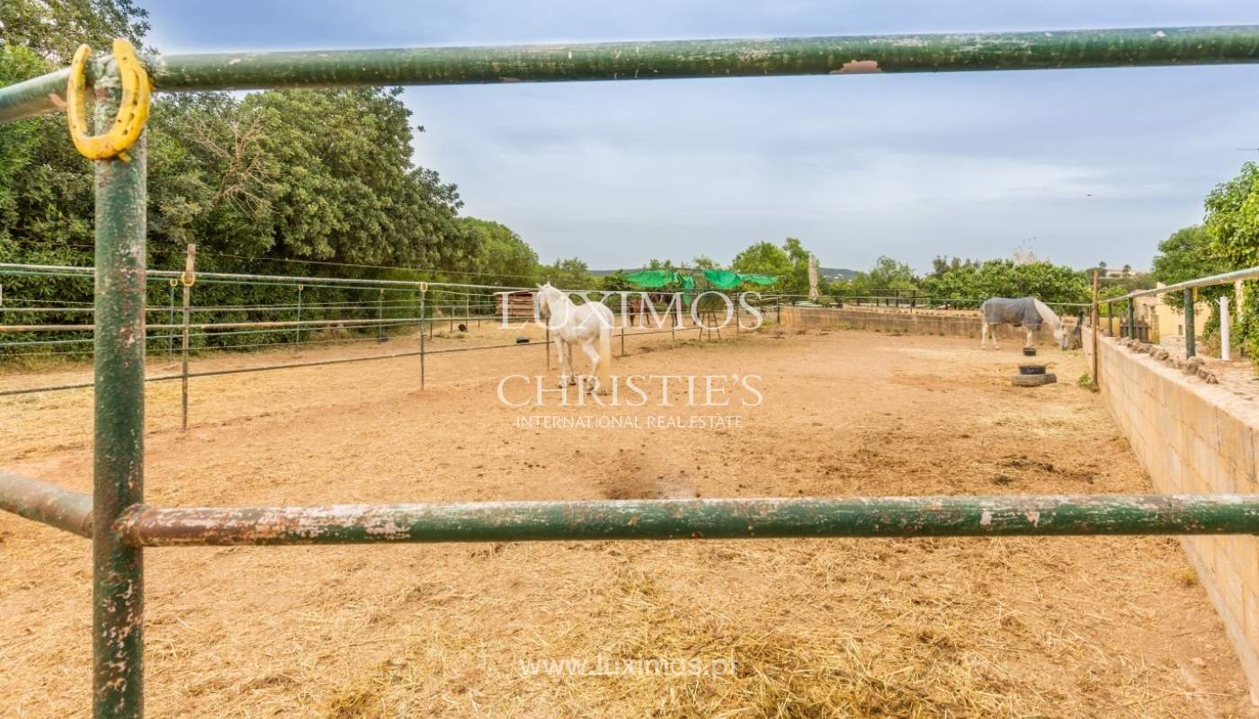 Bauernhof mit Reitschule für Verkauf, Loule, Algarve, Portugal_57881