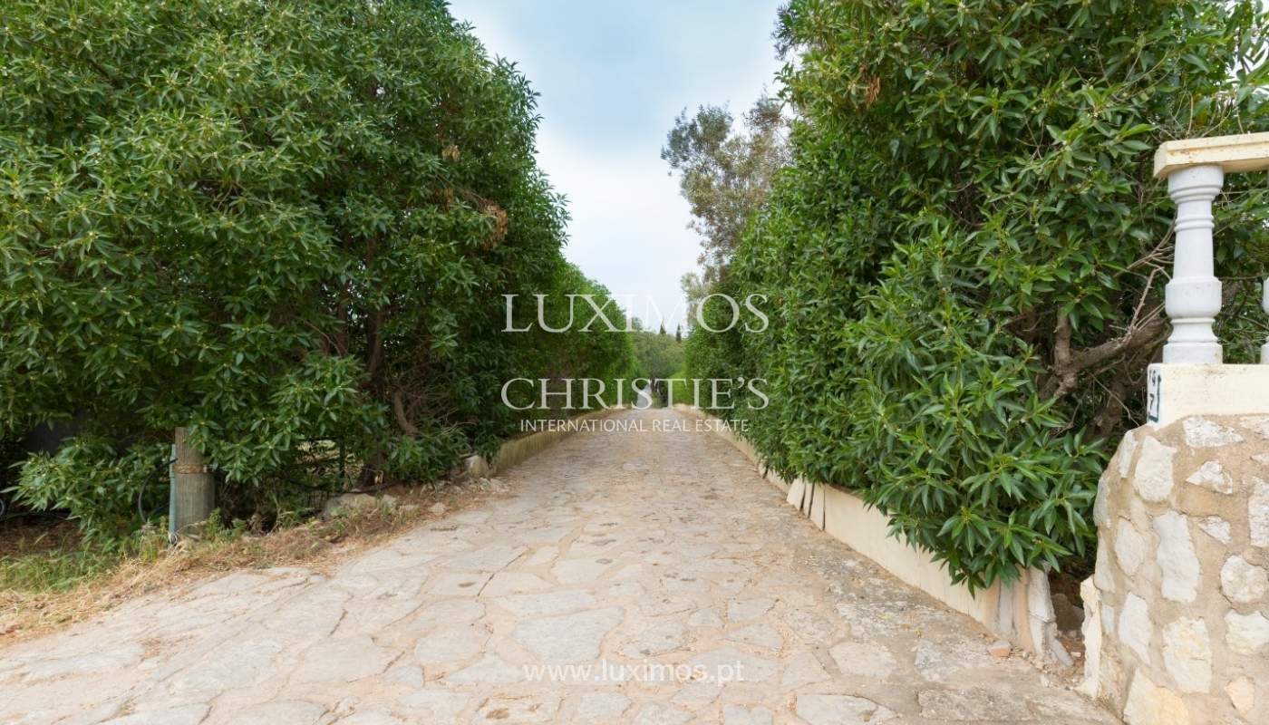 Bauernhof mit Reitschule für Verkauf, Loule, Algarve, Portugal_57882