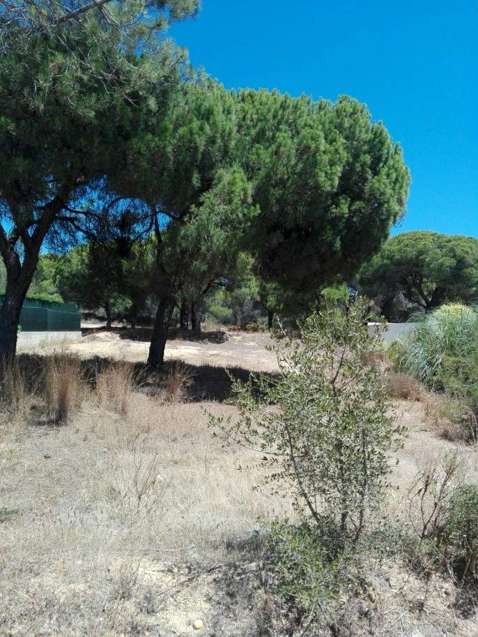 Plot area for sale near the sea and golf, Almancil, Algarve, Portugal_64123