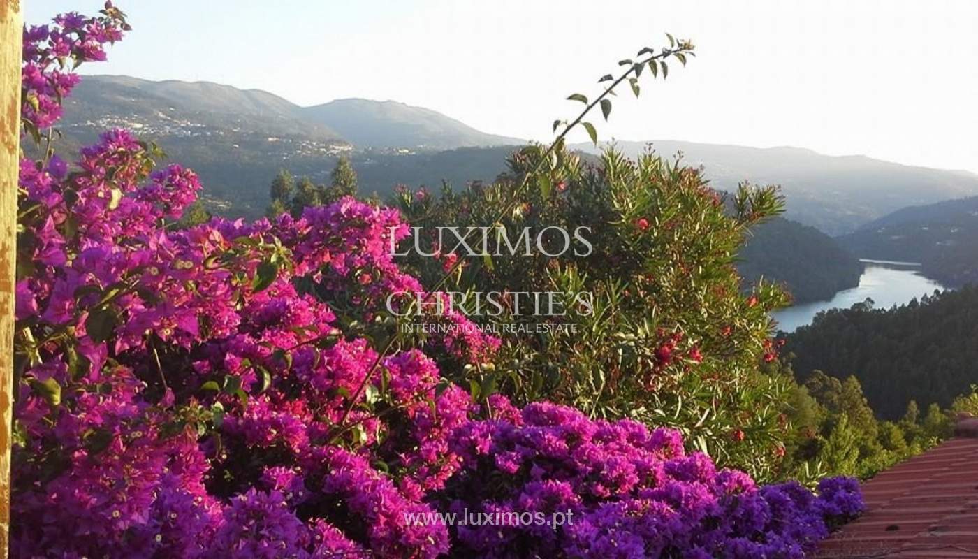 Fünfte - Baião_66933