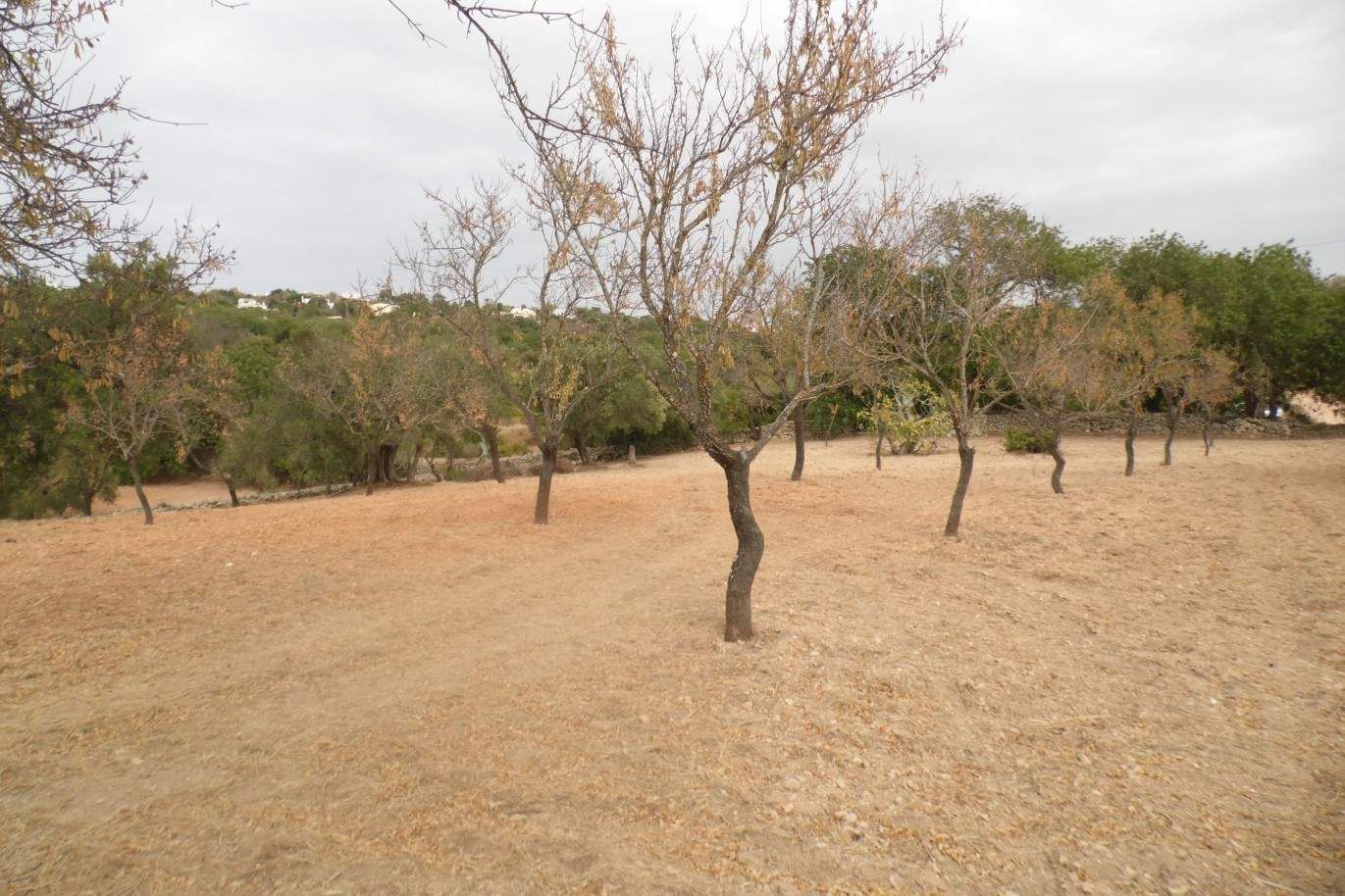 Terreno à venda, vistas mar, costa e serra, Loulé, Algarve, Portugal_68348