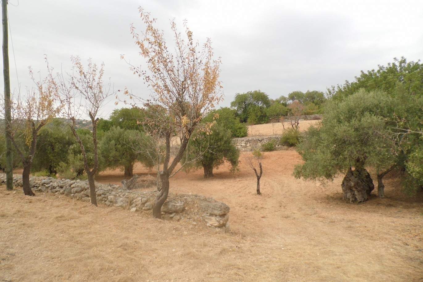 Terreno para venda, vistas mar, costa e serra, Loulé, Algarve_68356