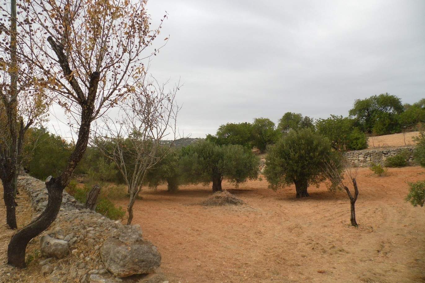 Terreno para venda, vistas mar, costa e serra, Loulé, Algarve_68357