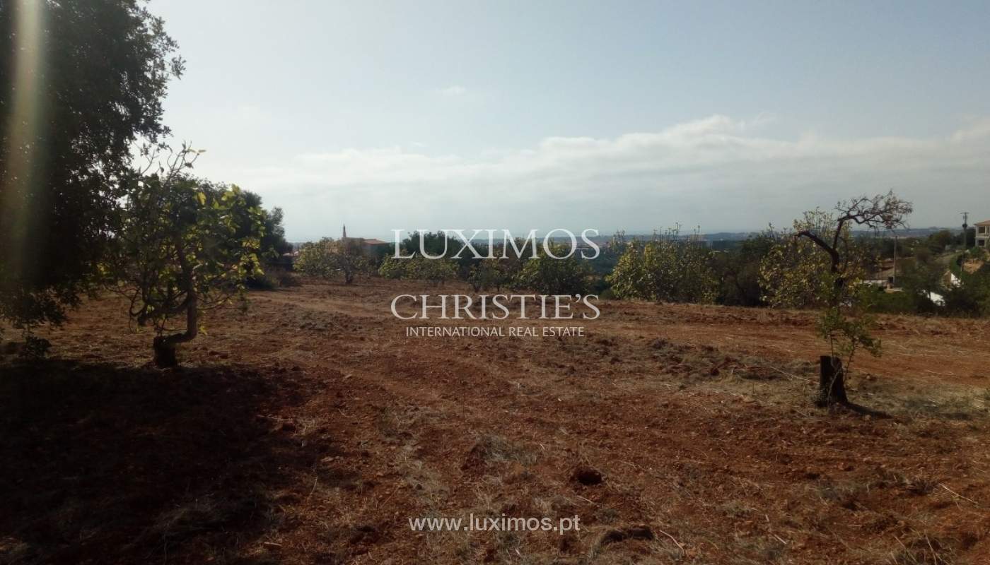 Plot area with ruin for sale, sea views, Boliqueime, Algarve, Portugal_69585