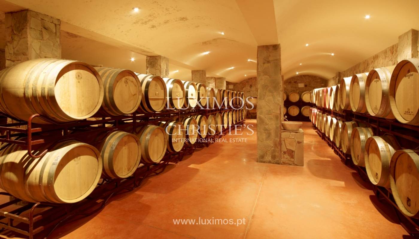 Domaine viticole à vendre, avec piscine et court de tennis, Lagoa, Algarve, Portugal_74622