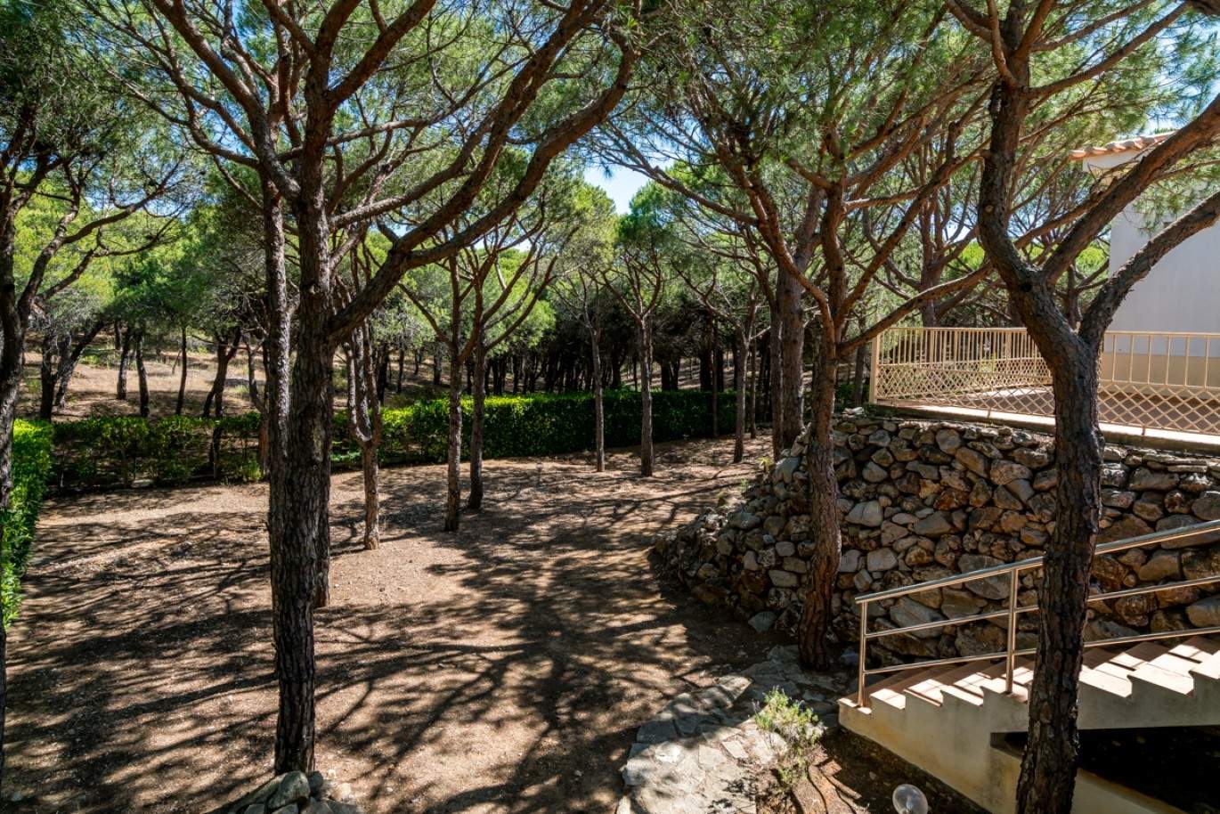 Immobilien zu verkaufen, Praia Verde, Castro Marim, Algarve, Portugal_80406