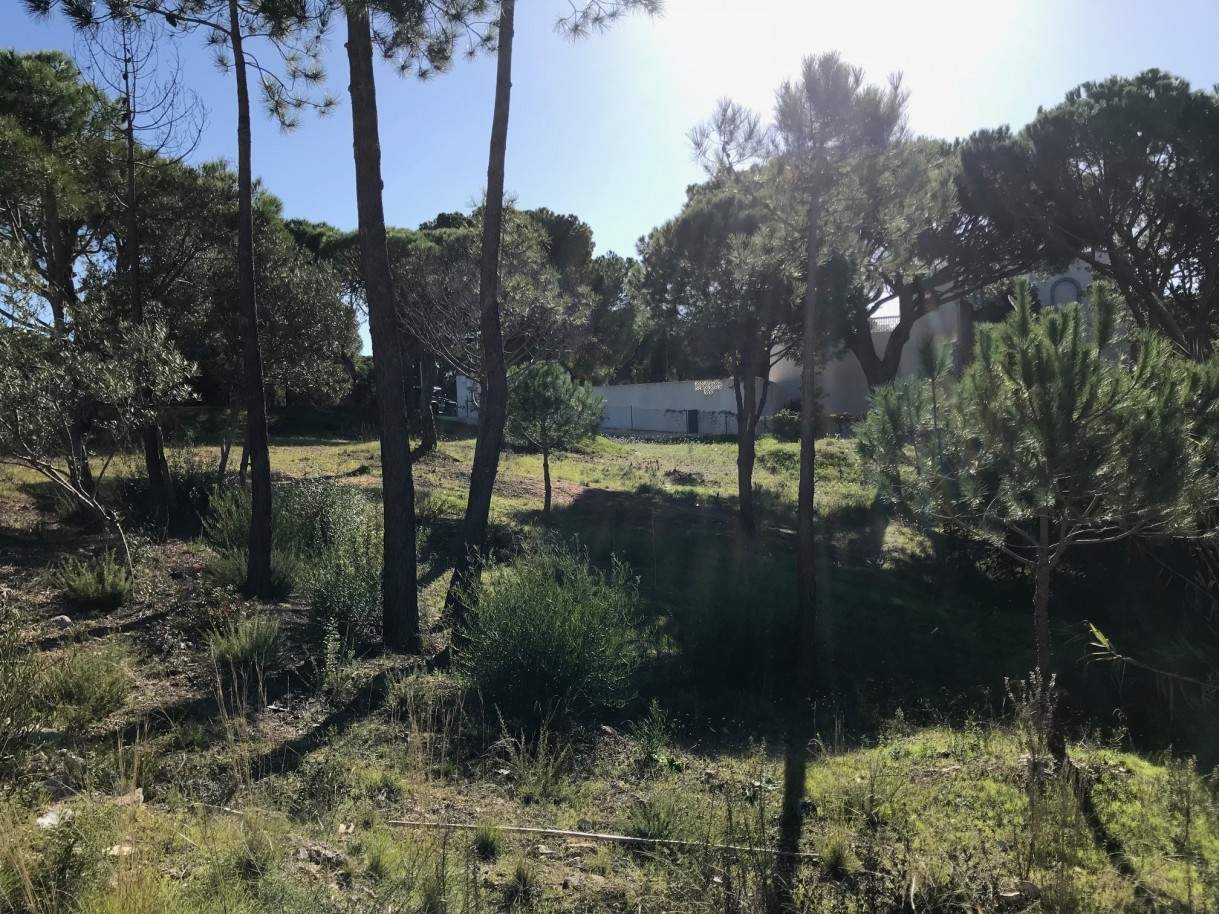 Sale of plot of land for construction in Almancil, Algarve, Portugal_92442