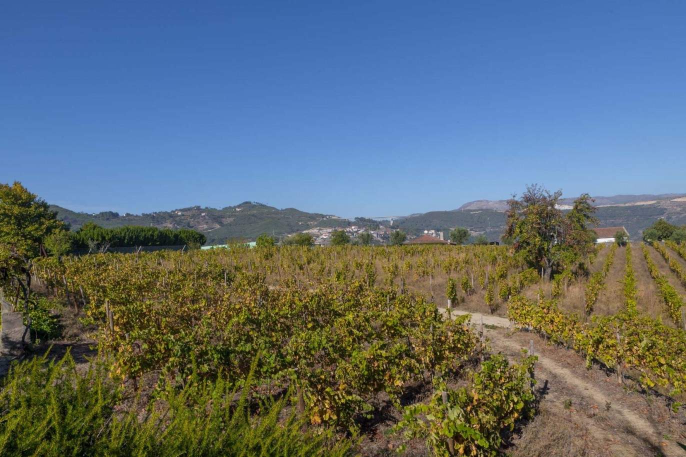 Die fünfte Weingut in der schönen Region von Douro, in Santa Marta de Penaguião, Portugal_93132