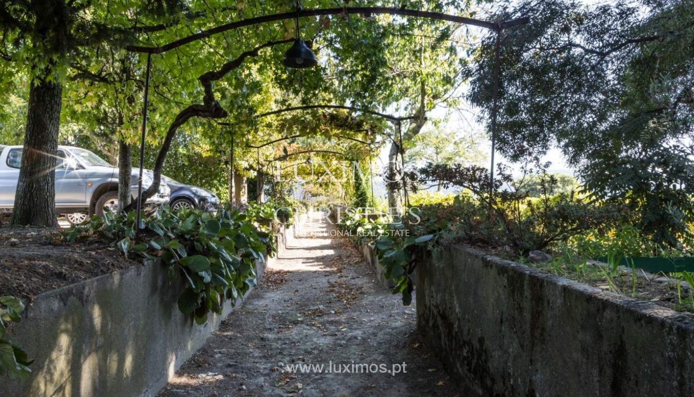 Vineyard for sale in the beautiful Douro Region, Portugal_93154