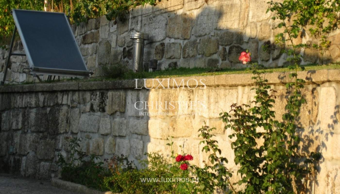Country house with orchard and fantastic river views in Baião, Portugal_9329