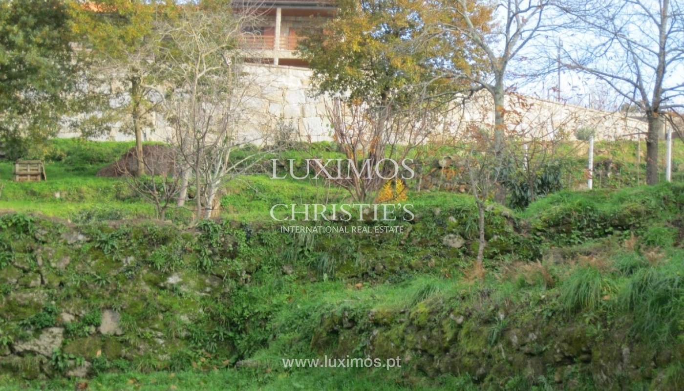 Country house with orchard and fantastic river views in Baião, Portugal_9345