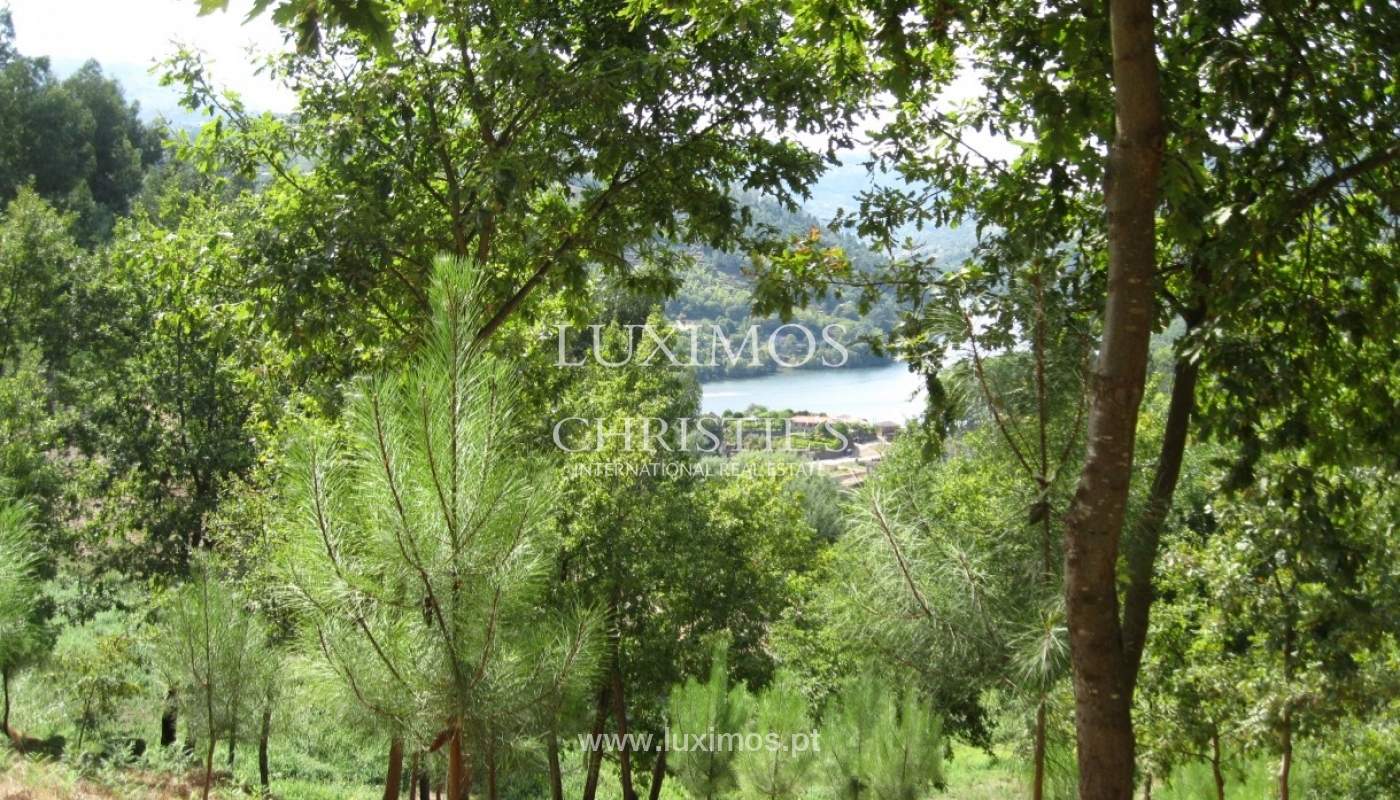 Country house with orchard and fantastic river views in Baião, Portugal_9347